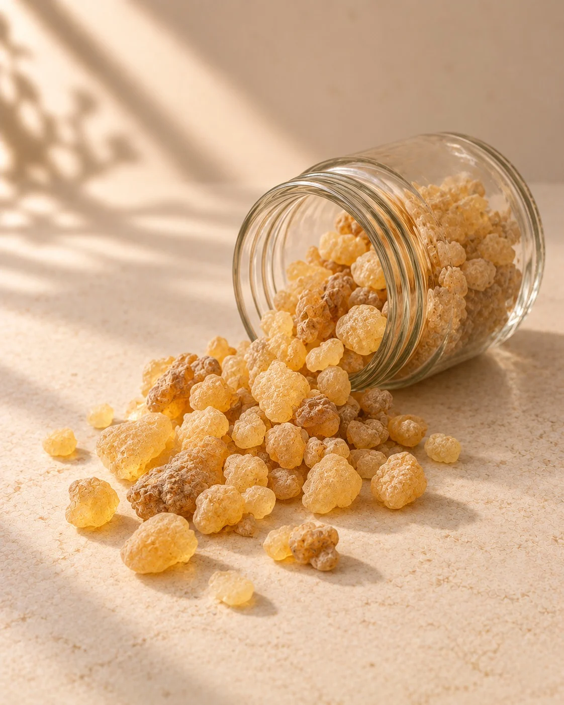 Frankincense Resin — Boswellia